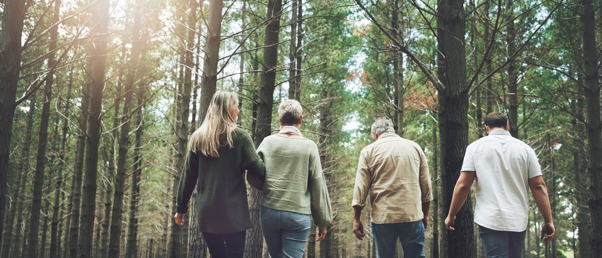 Fyra personer promenerar tillsammans i en granskog