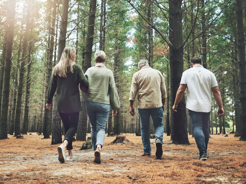 Fyra personer promenerar tillsammans i en granskog