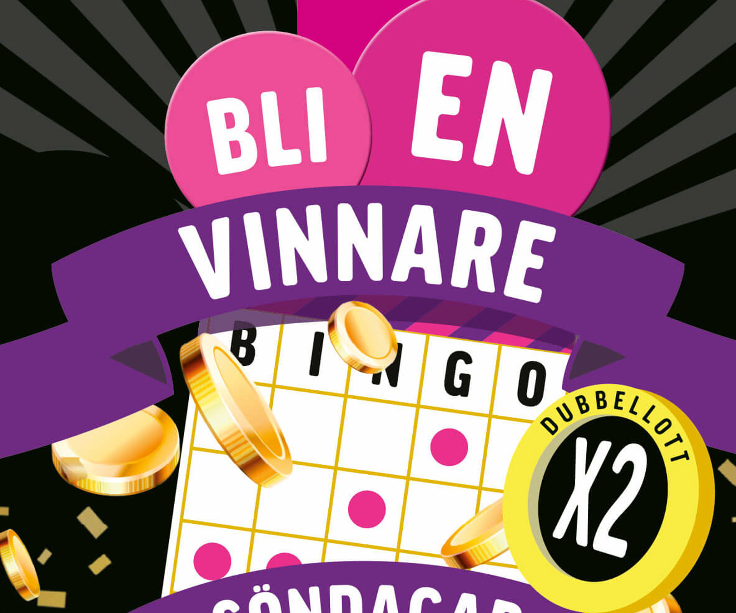 En bingolott (dubbellott)