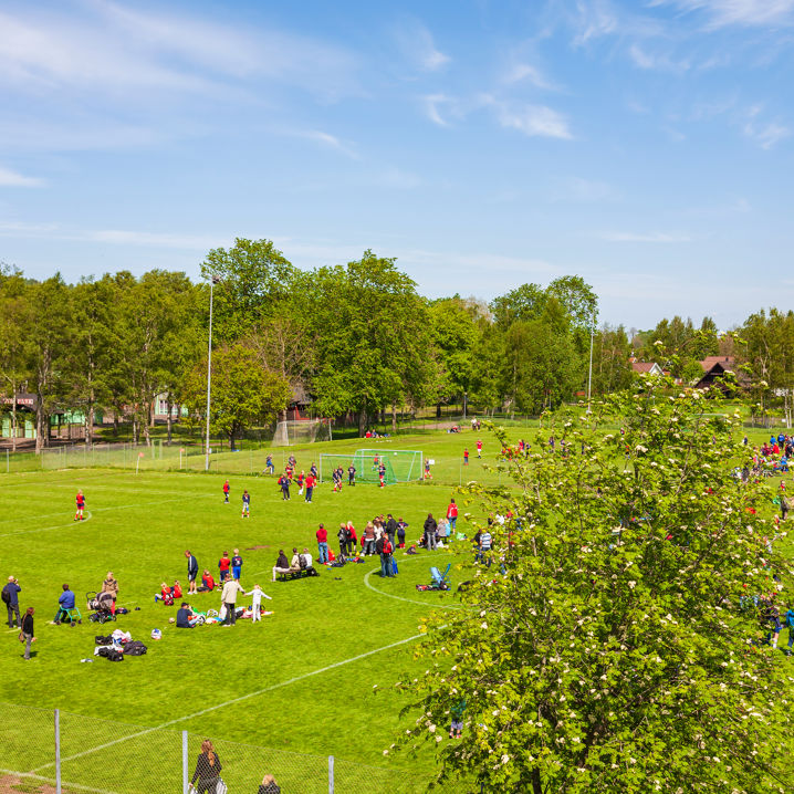 En landskapsbild över gräsplaner på en idrottsplats fylld med människor