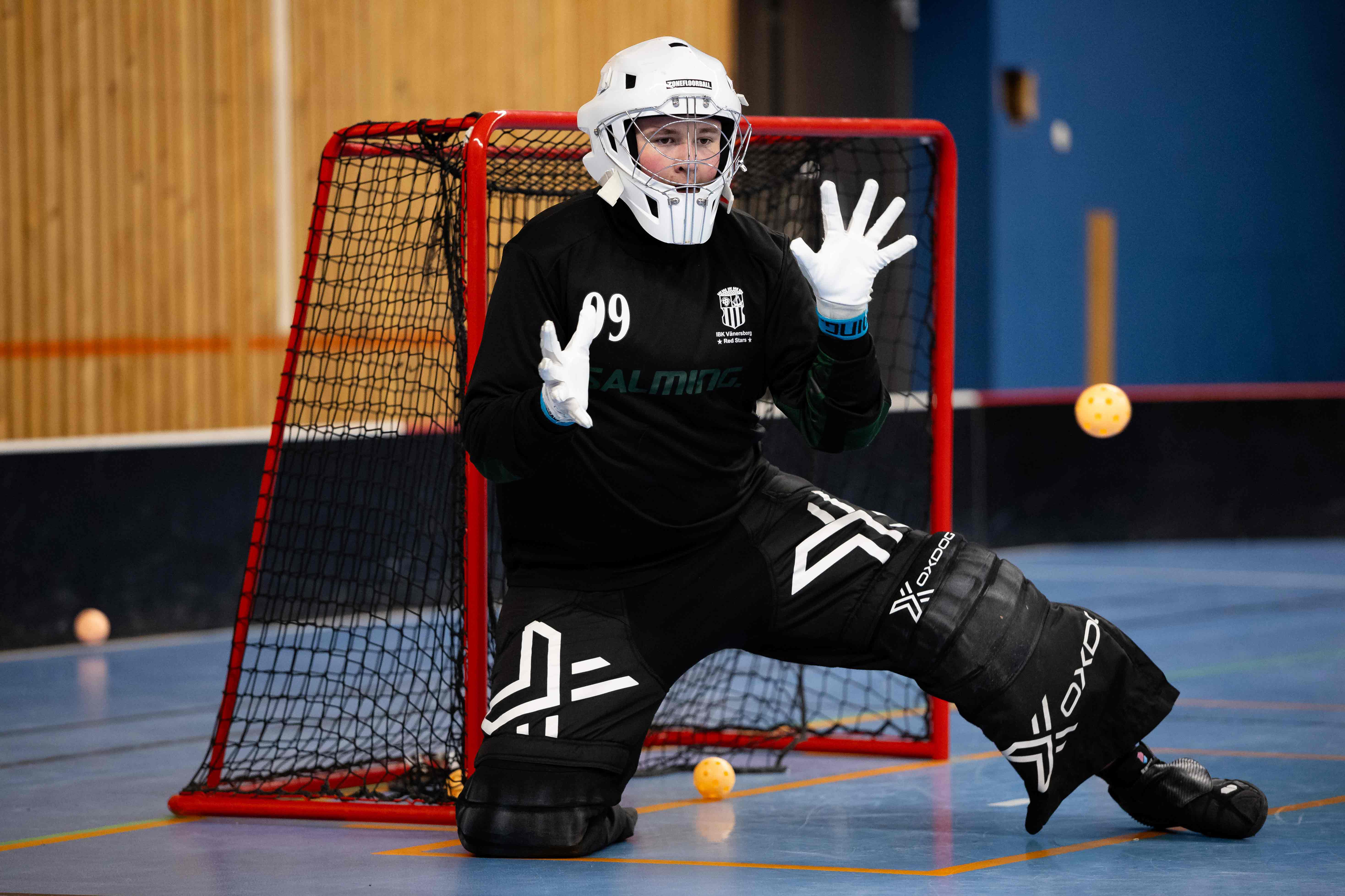 Hockeymålvakt framför sitt mål.