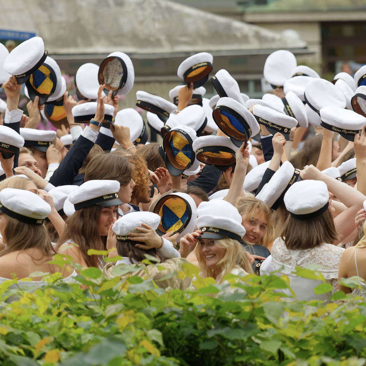 Studenter firar examen genom att lyfta sina vita studentmössor i luften.